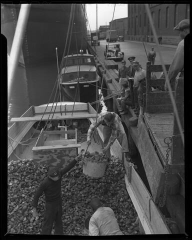 Unloading oysters in Baltimore Harbor — undated