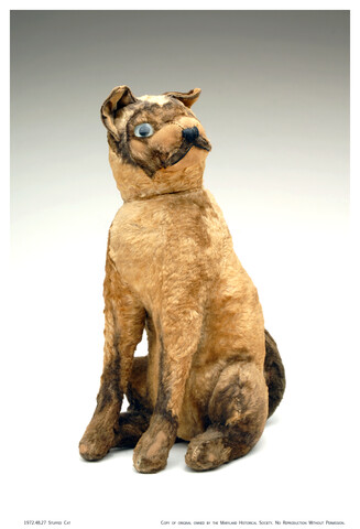 Animal, Stuffed — circa 1890-1910