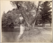 A small boat on a lake near the original Guilford mansion, a home built by William McDonald after inheriting the land from his father General McDonald in 1850. Arunah S. Abell, founder of The Sun, purchased the property in 1872 and it remained in the Abell family until it was sold to the Guilford Company…