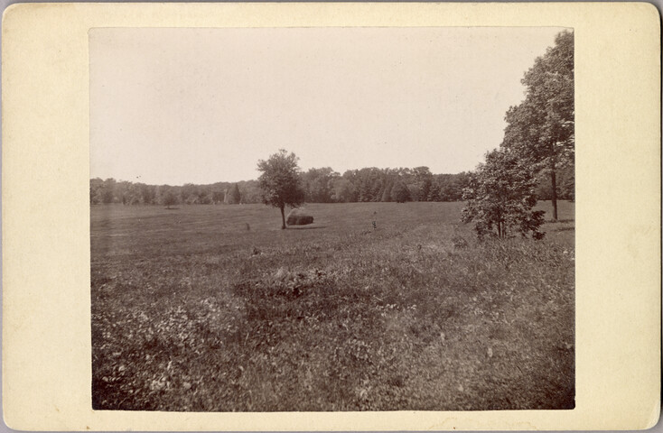 Guilford mansion grounds — 1888
