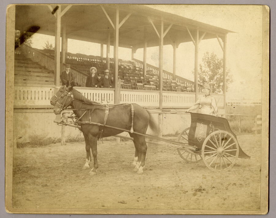 A costumed driver standing in a chariot pulled by two horses on the riding track at Tolchester, Maryland. In the background are three figures observing from a grandstand. Tolchester was the site of the Tolchester Beach Amuseument Park, which consisted of a bathing beach, amusement park, racetrack, and hotel, and was in operation from 1877…