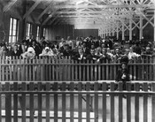 Immigrants separated into pens at the immigration station at Pier 9 in the Locust Point area of Baltimore, Maryland. Groups were separated according to their destinations. The individuals pictured here had traveled to Baltimore via the North German Lloyd steamship the SS Neckar.