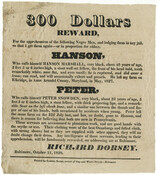 Broadside advertising a three-hundred dollar reward for the capture of enslaved men Hanson Marshall and Peter Snowden who escaped from the Dorsey farm in Elkridge, Anne Arundel County, Maryland, in May 1827 in search of their freedom. The notice is signed by one of the men's enslavers, Richard Dorsey of Baltimore, Maryland.