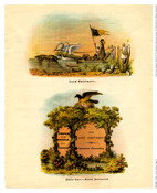 Eleven pages from the "official programme" of the Baltimore Oriole Festival, a celebration and pageant held September 11-13, 1883 by the Order of the Oriole in Baltimore, Maryland. The pages depict ornate floats and scenes from the festival's various parades and events.