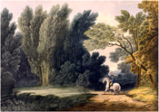 Print depicting the specific location where British Major-General Robert Ross died on September 12, 1814 at the Battle of North Point during the War of 1812. A soldier in a blue jacket and tricorne hat rides a white horse on a path between two patches of trees and gazes at a sunny spot of grass…