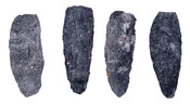 Four Native American projectile points dating to approximately the year 1600. Found in Maryland.
