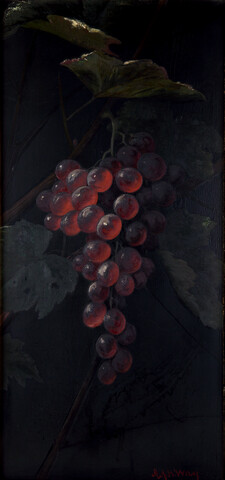 Hanging Grapes — 1870