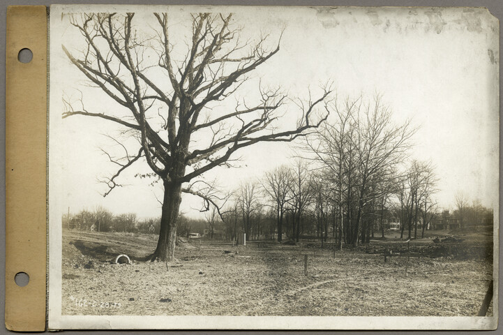 Looking northeast on Chancery Street from point about 15 feet east of lot 12 block 25 — 1913-02-28