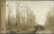 View looking west on Greenway from north side of Greenway in Baltimore, Maryland. The note on the verso states the photograph was taken 50 feet south of Midwood Road, but the note's author likely meant Millbrook Road.