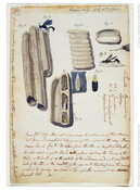 Watercolor on paper drawing of "Masons or Dirt Daubers, Details of Hymenoptera", July 15, 1796, from the Latrobe Sketchbooks, by Benjamin Henry Latrobe. This detailed sketch shows various views of mud hives, known as "dirt daubers" or "mud daubers", and several views of the wasps that build them. He sketched these views while at Rippon…