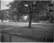 Street view of a fenced-in park with a tree and row houses in background.