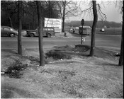 View of a wooded intersection on Northern Parkway in Baltimore, Maryland. A bus is visible in the background and a sign on the road reads, "Meridene Drive...Northern Parkway..."