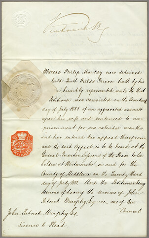 John Patrick Murphy’s license to plead — 1881-07-28