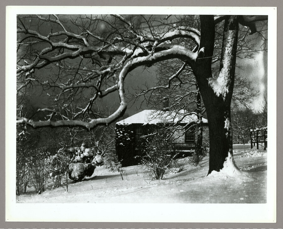 A stone house on the grounds of Nancy's Fancy, the Catonsville, Maryland, homestead of photographer Emily Spencer Hayden. Verso transcription: Nancy's Fancy. The Little Stone House by Emily Spencer Hayden.