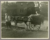Peanuts the donkey pulling a cart of hay with Catherine (Kitty) and Anna "Nan", daughters of the Baltimore, Maryland, photographer Emily Spencer Hayden, at their home in Catonsville, Maryland known as "Nancy's Fancy." Verso transcription: Peanuts, Kitty and Nan