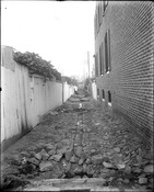 Looking north along a cobblestone alley located on the west side of the rowhome at 2300 Ashland Avenue in East Baltimore, Maryland.