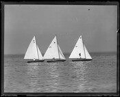 View of three Star boats sailing. A type of racing keelboat first designed in 1911, Star boats have a distinctive mainsail.