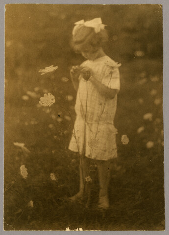 Portrait of Anna ‘Nan’ Bradford Hayden (Agle) picking wild flowers — undated