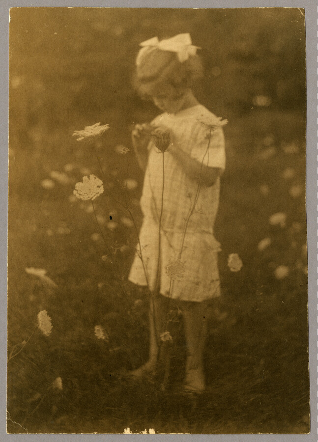 Young Anna "Nan" Bradford Hayden (Agle), the daughter of the Baltimore, Maryland, photographer Emily Spencer Hayden. She picks the petals of a wildflower as she stands in a field. Verso transcription: Nan Hayden