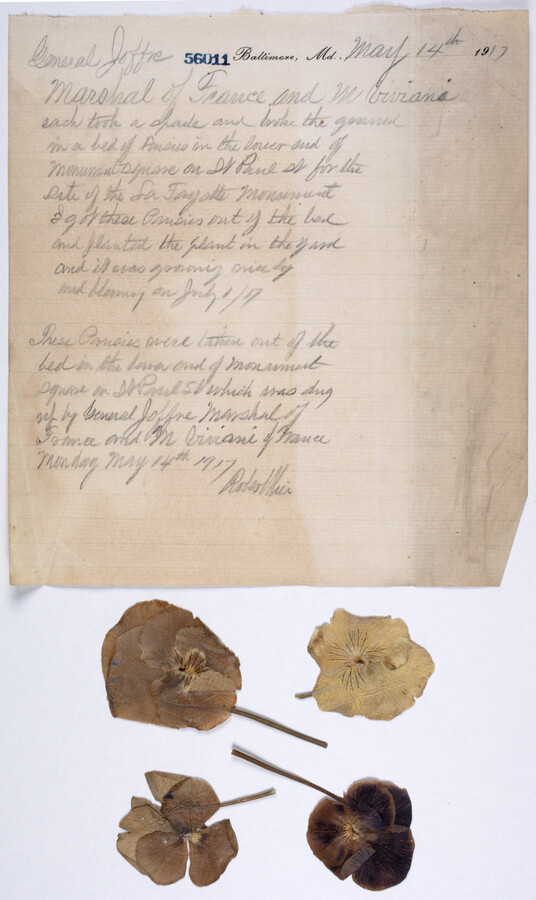 A memo about the groundbreaking for the Lafayette Monument in Baltimore, Maryland. Includes pressed pansy flowers from a flower bed by the monument in Mount Vernon Square at the time of the dedication by Marshal of France Joseph Jacques Césaire Joffre.