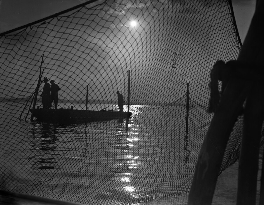 Three fishermen standing on a fishing boat, viewed in silhouette through netting set into the water.